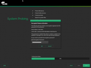 New password prompt during installation